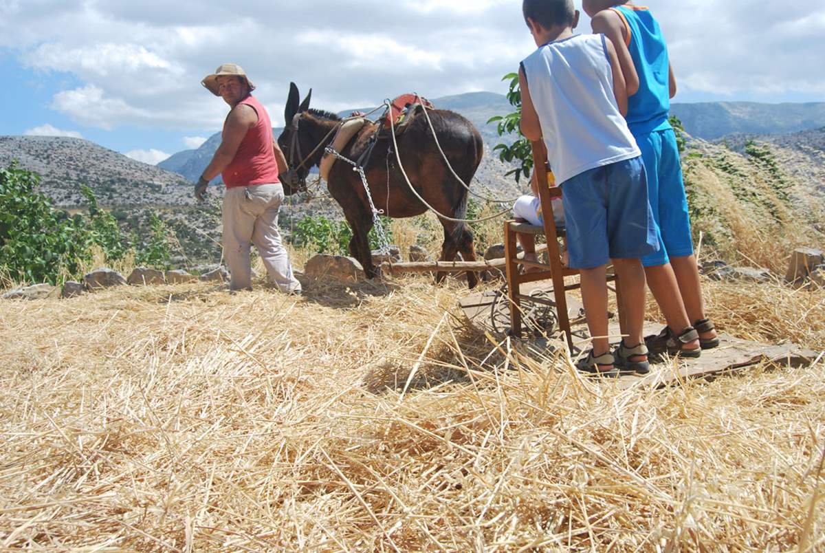 Traditional rural activity in the mountain landscape